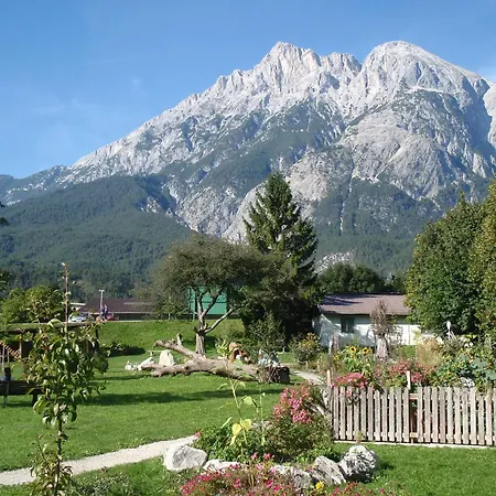 Telfer Stubm تيلفس